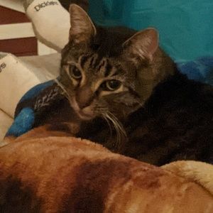 Meet your Posher, Patricia